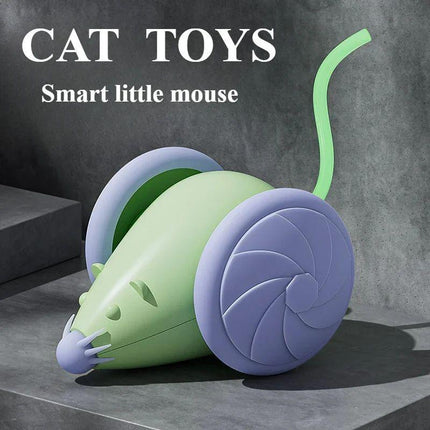 Interactive Cat Toy