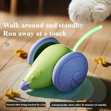 Interactive Cat Toy