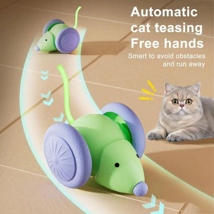 Interactive Cat Toy