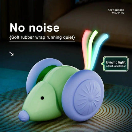 Interactive Cat Toy