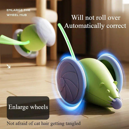 Interactive Cat Toy