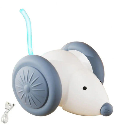 Interactive Cat Toy