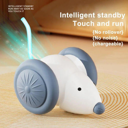 Interactive Cat Toy