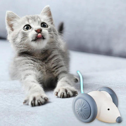 Interactive Cat Toy