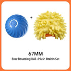 Interactive Bouncing Ball for Dogs